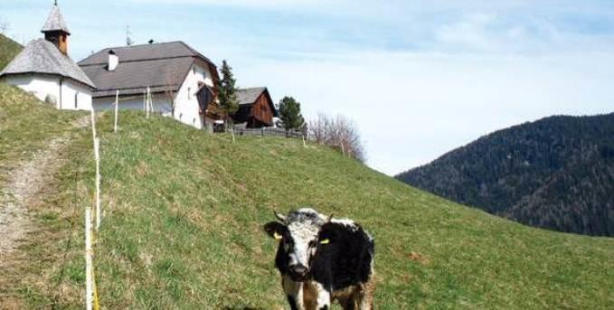 Berggasthof Trattes Olang 外观 照片